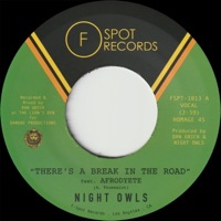 There's a Break in the Road (feat. Afrodyete) - Single - Night Owls