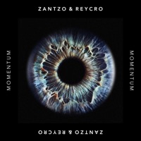 Momentum - Single - Zantzo & REYCRO