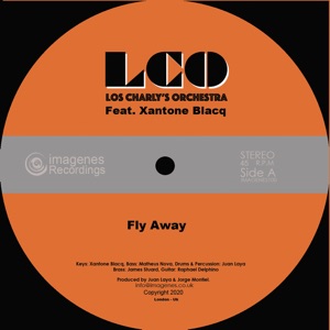 Fly Away (feat. Xantone Blacq) - Single
