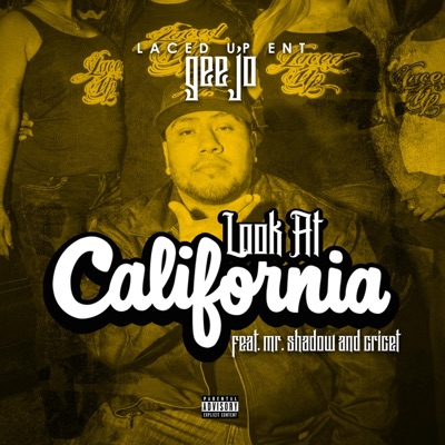 Look at California (feat. Mr. Shadow & Cricet) - Single