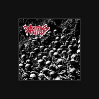 Rattus