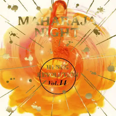 Various Artists द्वारा MAHARAJA NIGHT HI-NRG REVOLUTION VOL.14 सुनें
