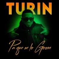 Pa Que Se Lo Gozen - Single - Turin el profeta
