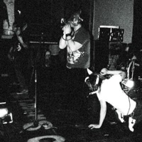 Where It Began - EP - The Bunny The Bear