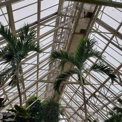 Purgatory (feat. Freeba$e) - Single