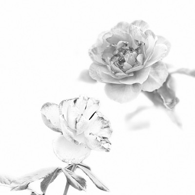 Thorns