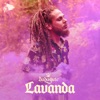Dada Yute - Lavanda