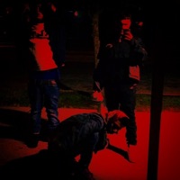 Bodies Freestyle (feat. Lil $tick-Up) - Single - Young Swan