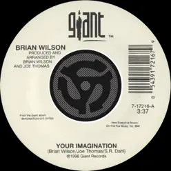 Your Imagination / Your Imagination (A Cappella) [Digital 45] - Single - Brian Wilson