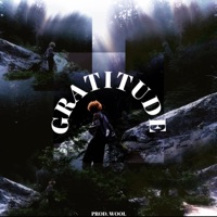 Gratitude - Single - Burd Hauz