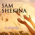 merveilleuse histoire