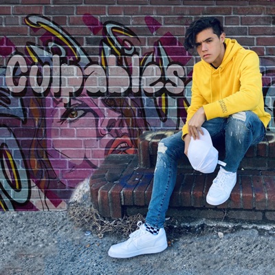 Culpable - Single