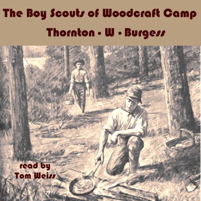 The Boy Scouts of Woodcraft Camp (Unabridged)