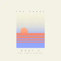 Won't U (feat. Brodie Barclay) — Tez Cadey