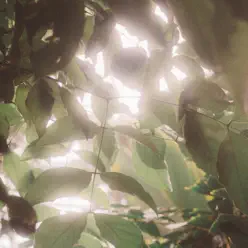 Snakes / Sad Sea - Single - Pijama