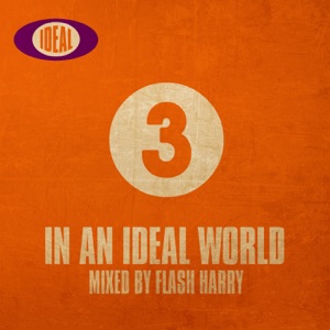In an Ideal World 3 (DJ Mix)