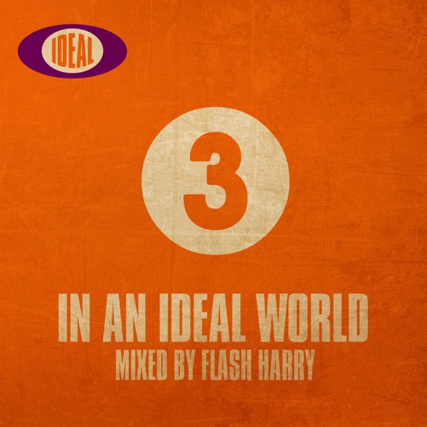 In an Ideal World 3 (DJ Mix)