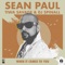 When It Comes to You (DJ Spinall Remix) - Sean Paul & Tiwa Savage lyrics