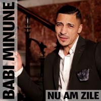 Nu Am Zile - Single - Babi Minune