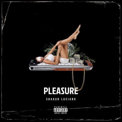 Pleasure - Single
