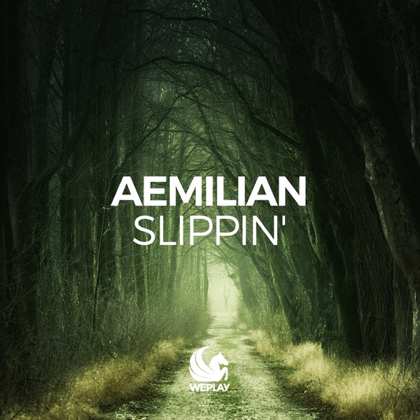 Slippin' (Remixes) - Single