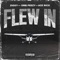 Flew In (feat. OMB Peezy & Ace Rico) - Ziggy lyrics