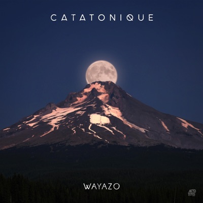 Wayazo - Single