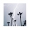 Rain with Me - Blackrose lyrics