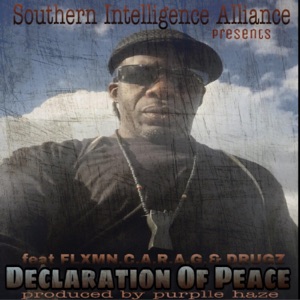 Declaration of Peace (feat. Flxmn, C.A.R.A.G & Drugz)