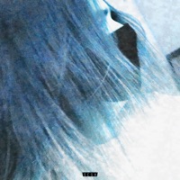 Foundation - Single - Drew The Architect