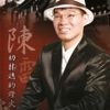 陈雷 - 感情的路