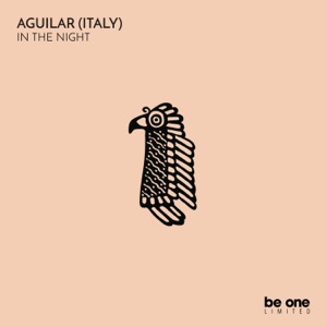 In The Night - Single