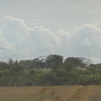 Woomp (feat. Inimicvs) - Single - olswel