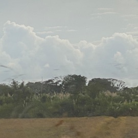 Woomp (feat. Inimicvs) olswel