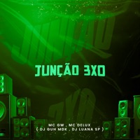 Junção 3X0 (feat. DJ Luana SP) - Single - Mc Delux, MC GW & DJ Guh mdk