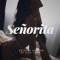 Señorita (Bachata Version) - Alex Tapia lyrics