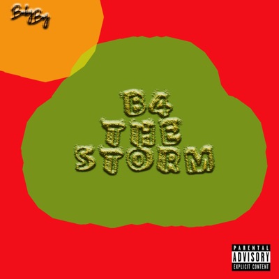 B4 the Storm - Single