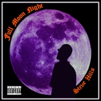 Full Moon Night - Steve Hills