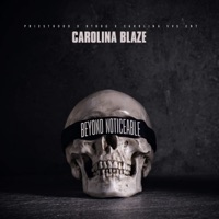 Beyond Noticeable - Carolina Blaze