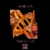 Siamese Cat - Single