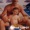 Lupo - -