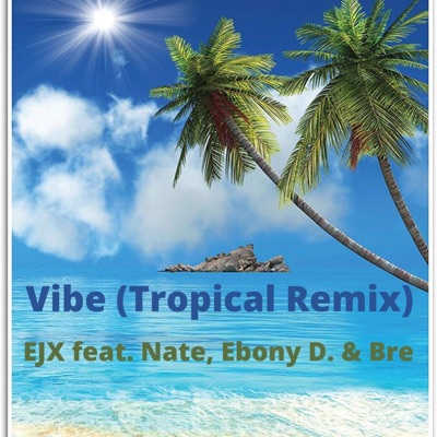Vibe (feat. Nate, Ebony D. & Bre) [Tropical Remix] - Single