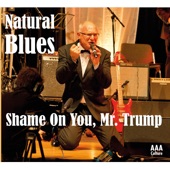 Shame on You, Mr. Trump (Radio Version) artwork