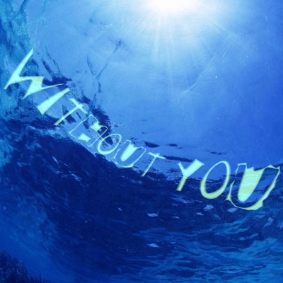 Without You (feat. Jakkyboí) - Single