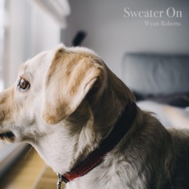 Sweater On Wyatt Roberts