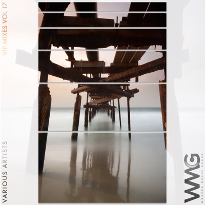 VIP Mixes, Vol. 17