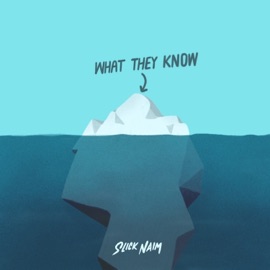 What They Know Slick Naim