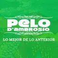 AY CORAZÓN!