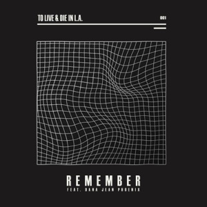 Remember (feat. Dana Jean Phoenix) - Single