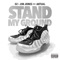 Stand My Ground (feat. Aktual) - DZ & Jim Jones lyrics